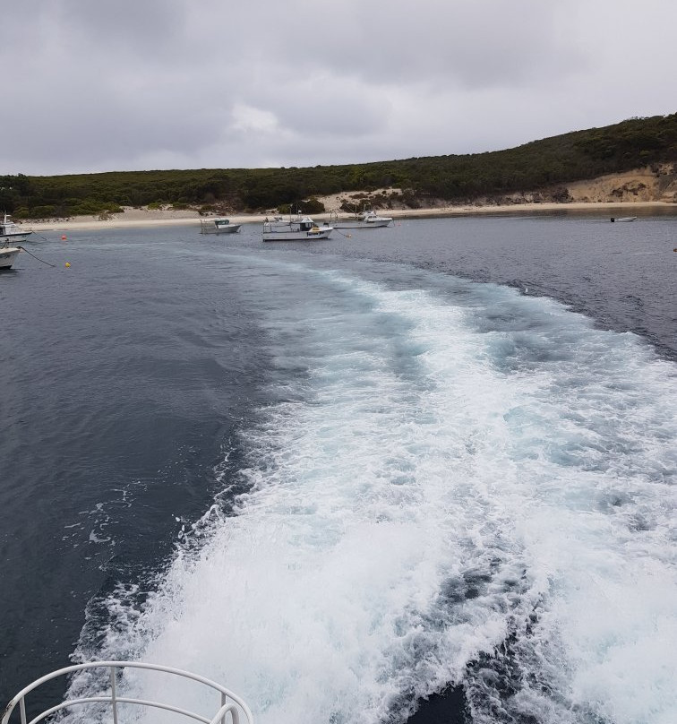 Bremer Canyon Killer whale Expeditions-Bremer Bay必去景点