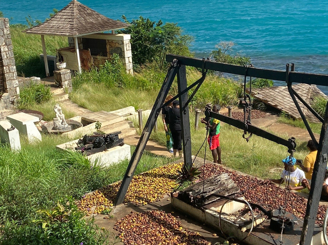 Columbus Park-发现湾必去景点