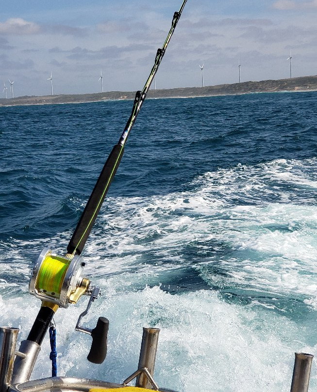 Salty Dog Charters-仙女港必去景点