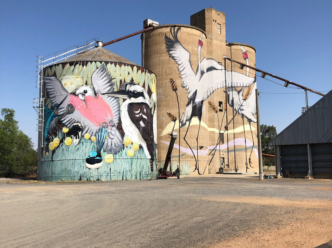 Tungamah Silo Art-Tungamah必去景点