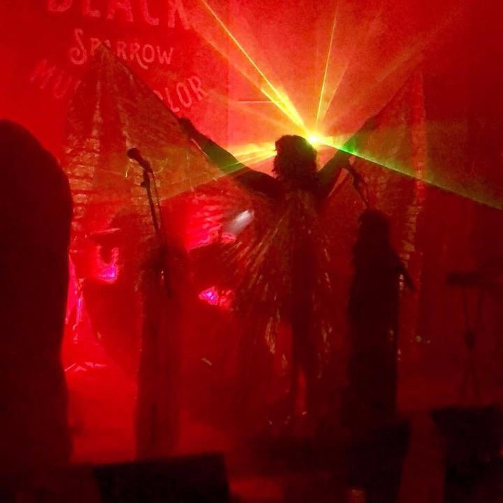 Black Sparrow Music Parlor景点图片