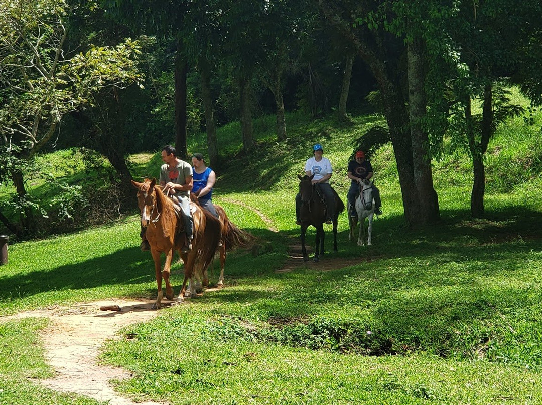 Hotel Fazenda Sao Matheus主图