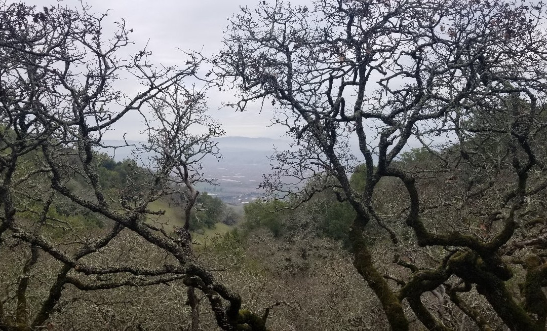Olompali State Historic Park景点图片
