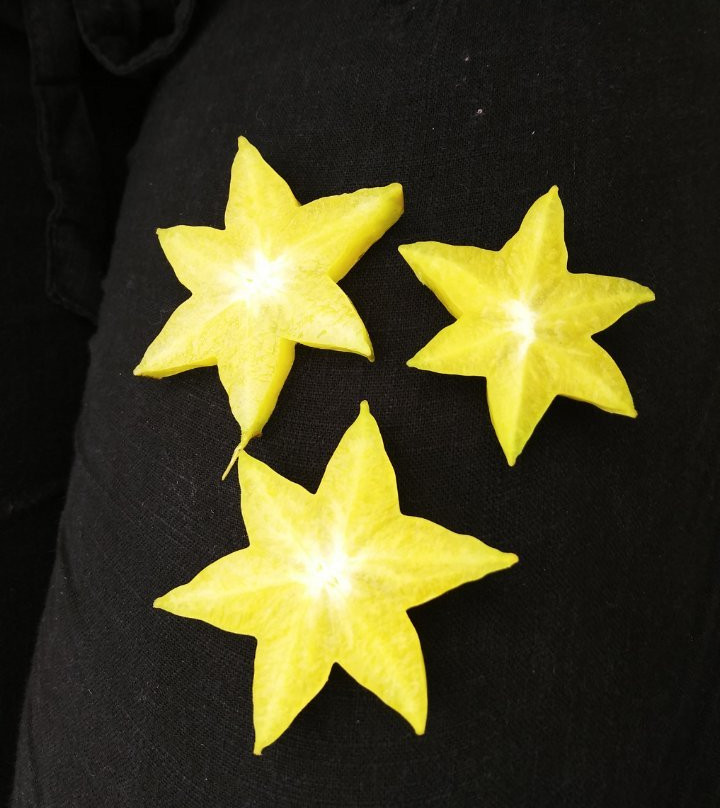 South Padre Island Farmer's Market-南帕诸岛必去景点