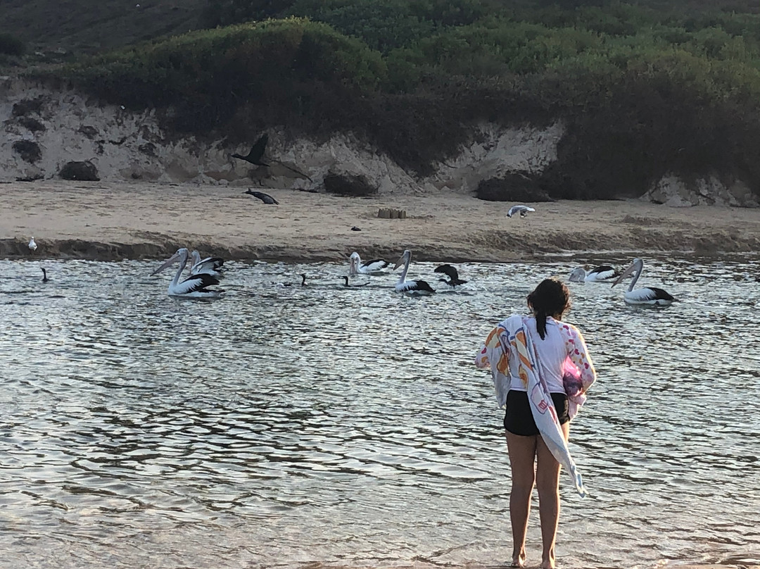 Sapphire Palms Motel主图