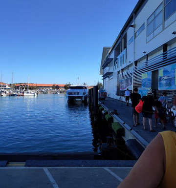Rottnest Fast Ferries - Day Tours-拉瑞斯必去景点