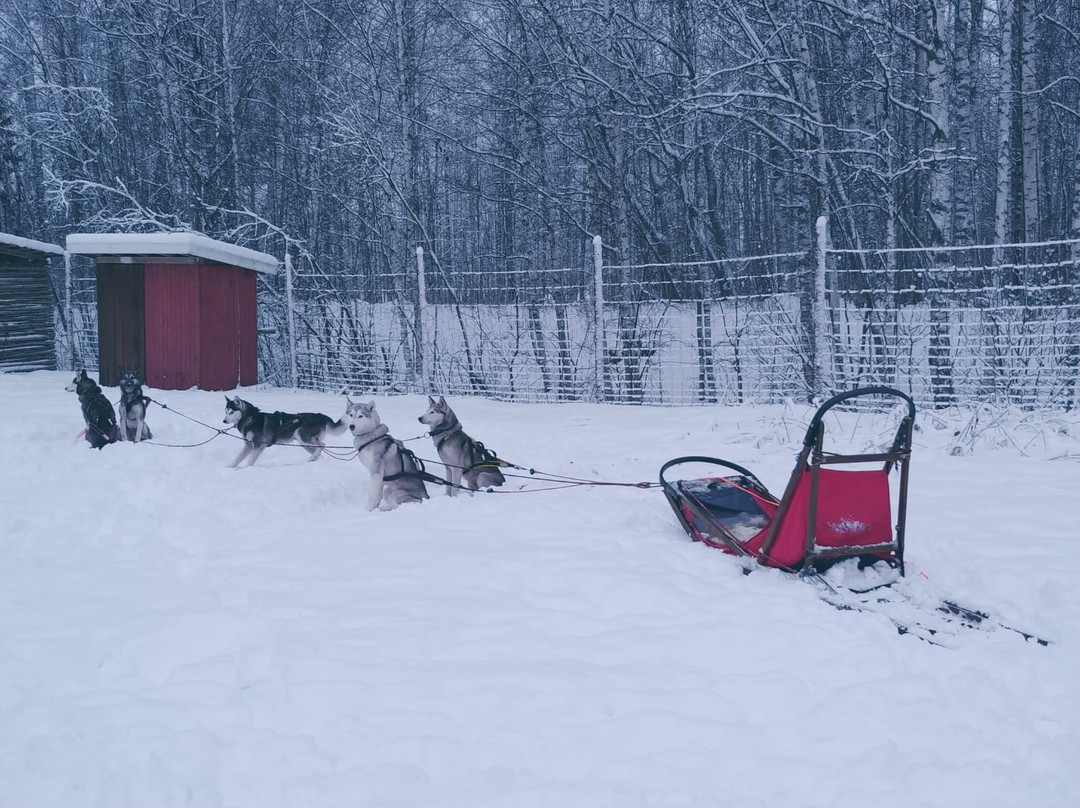 Nordic Husky Tour景点图片