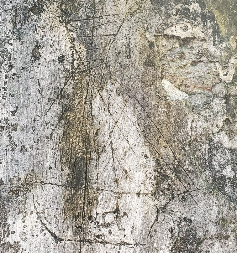 Wade's Green Plantation-North Caicos必去景点