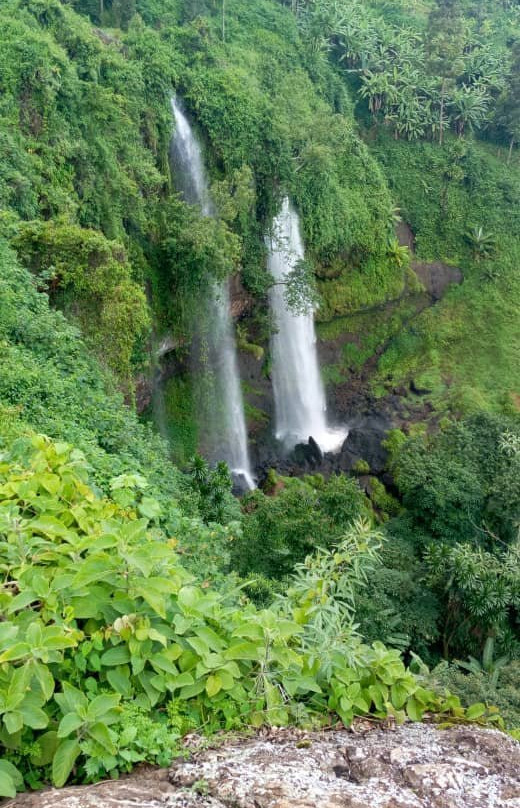 Fredson's Homestay主图