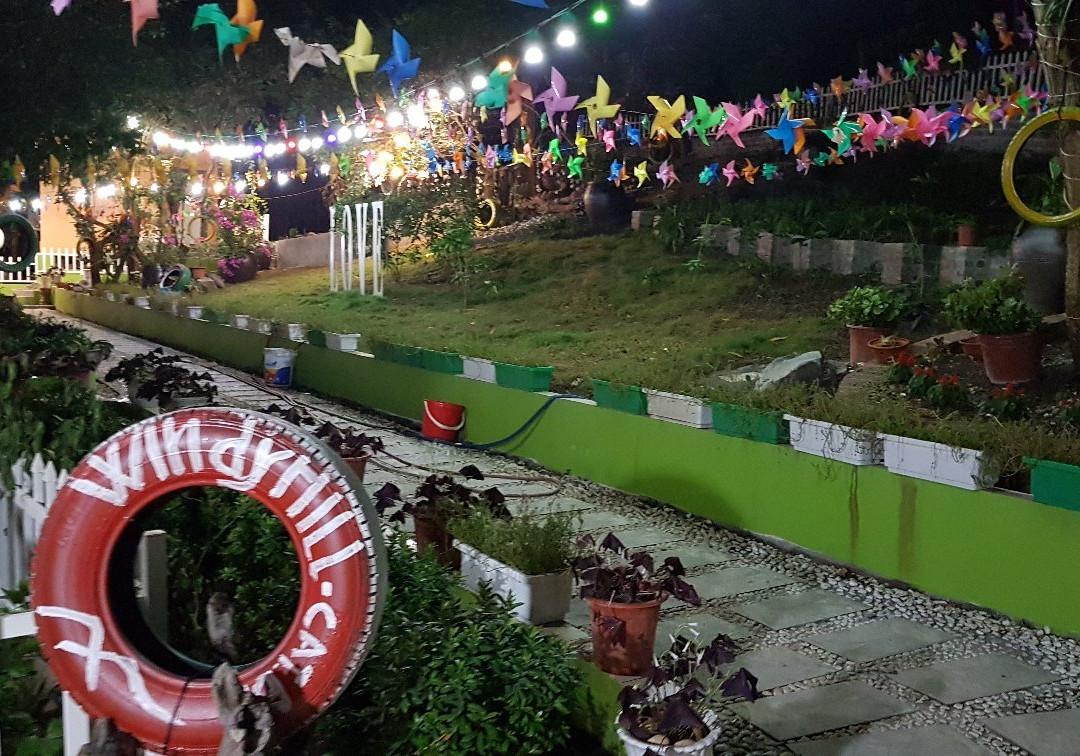 Windy Hill Catba Homestay主图