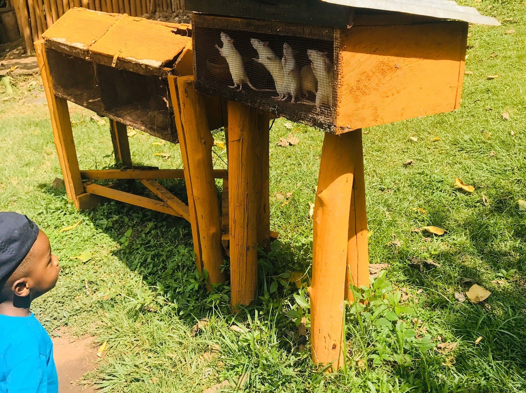 Nile Reptile Park-金贾必去景点