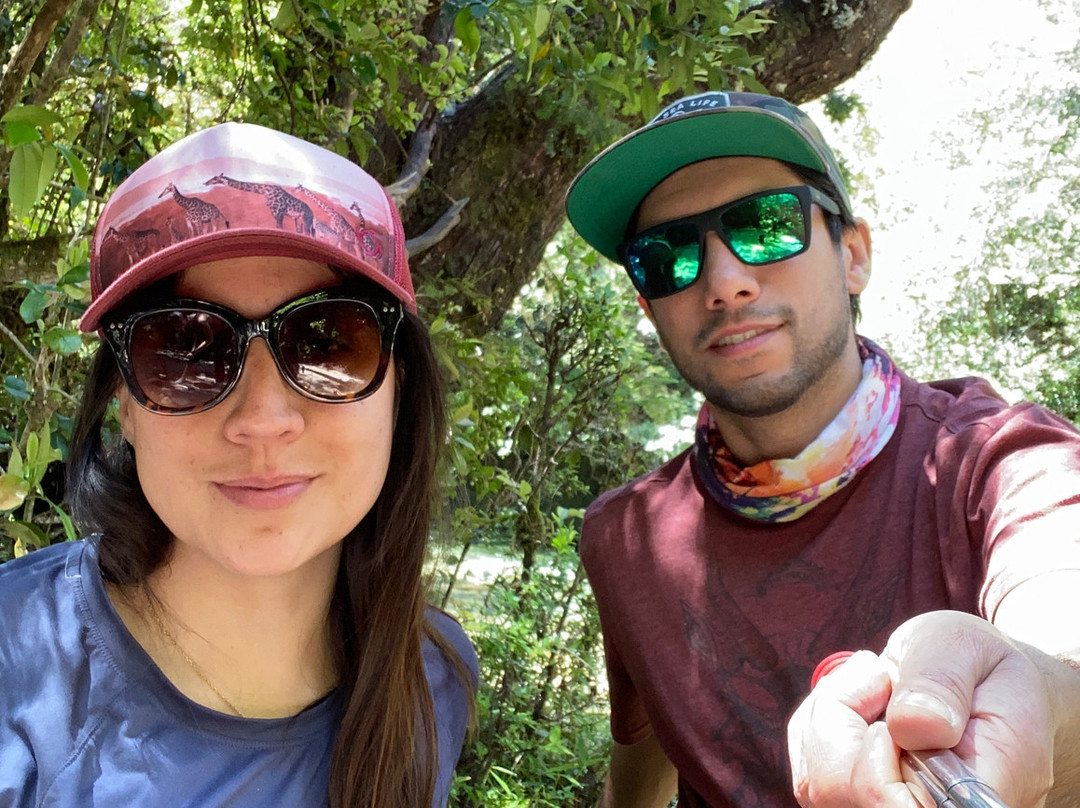 Andes Sur Expediciones-Puyehue必去景点