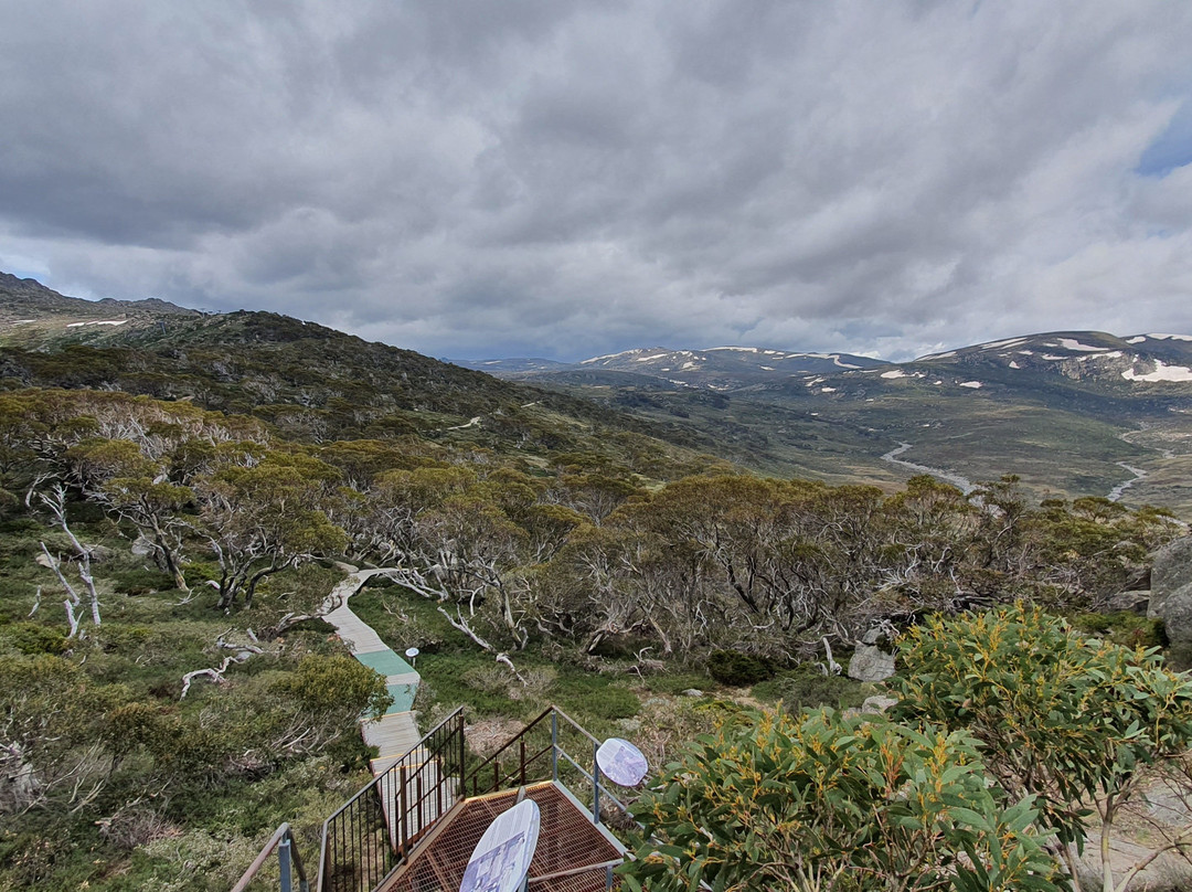 Mt Kosciuszko景点图片