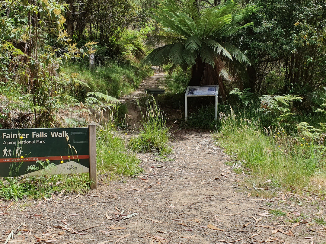 Fainter Falls-Mount Beauty必去景点