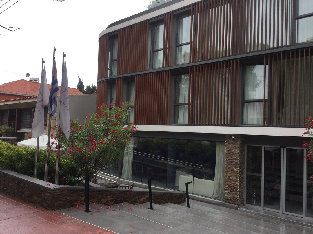 Cottage Puerto Buceo主图