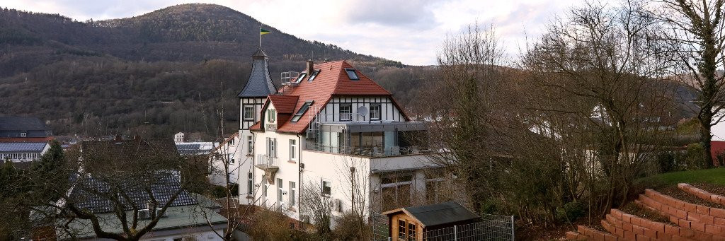 Villa Waldfrieden主图