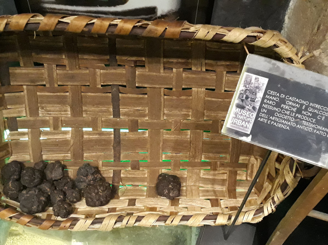 Museo del Tartufo Urbani景点图片