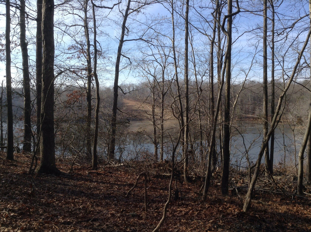 Lake Needwood-罗克维尔必去景点