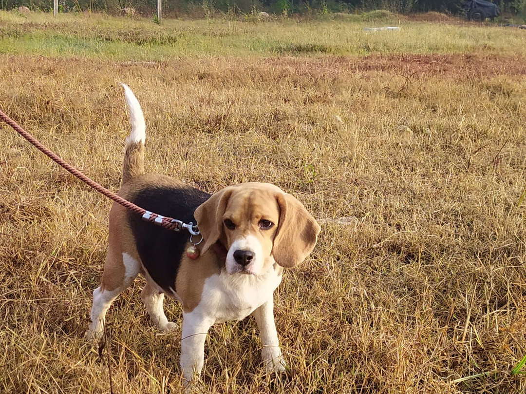 Sirimane Homestay主图