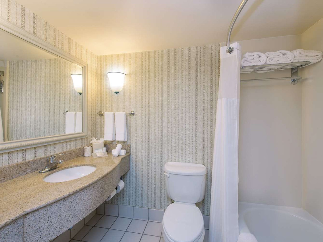 波基普西/菲什基尔希尔顿花园旅馆主图