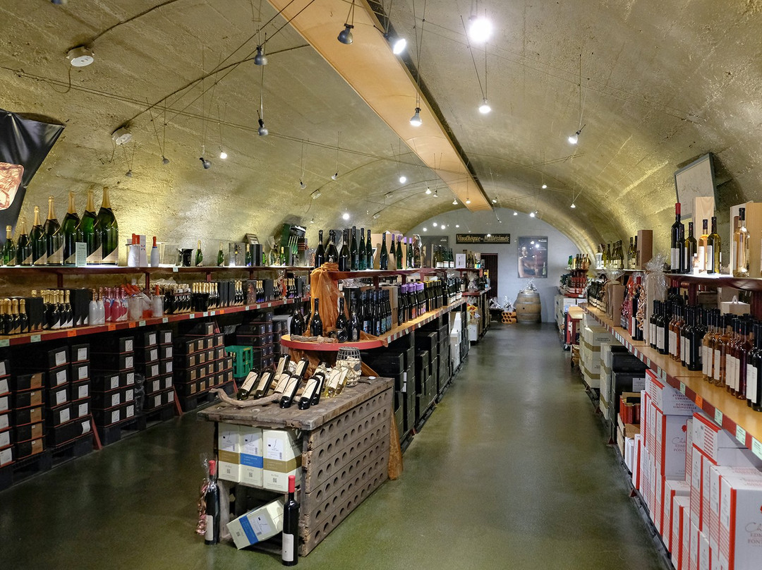 Domaines Vinsmoselle - Caves des Crémants POLL-FABAIRE-沃尔默丹格必去景点