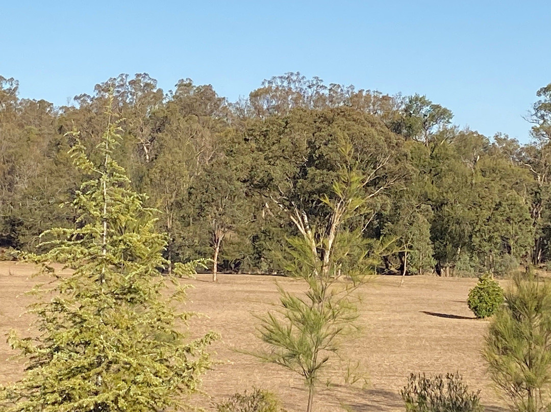 Warrumbungles Mountain Motel主图