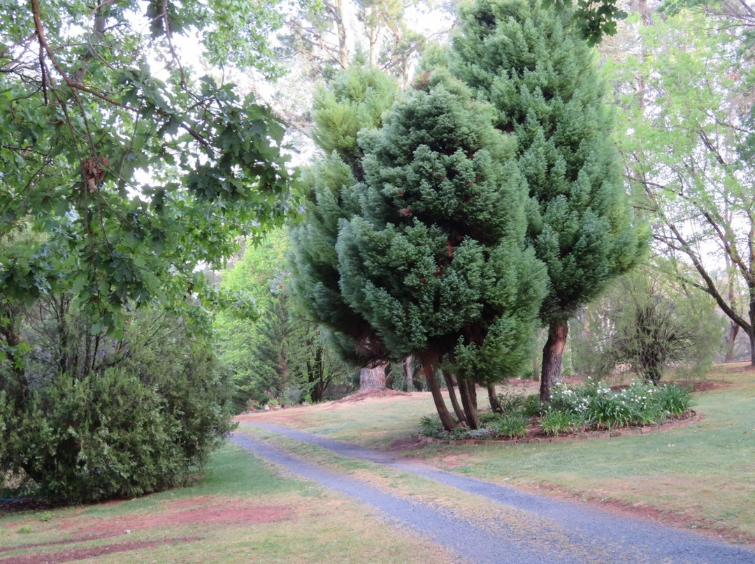 Clifton Gardens Bed & Breakfast主图