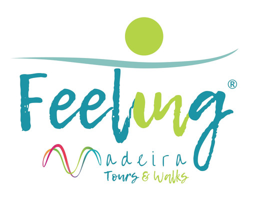 Feeling Madeira-马德拉群岛必去景点