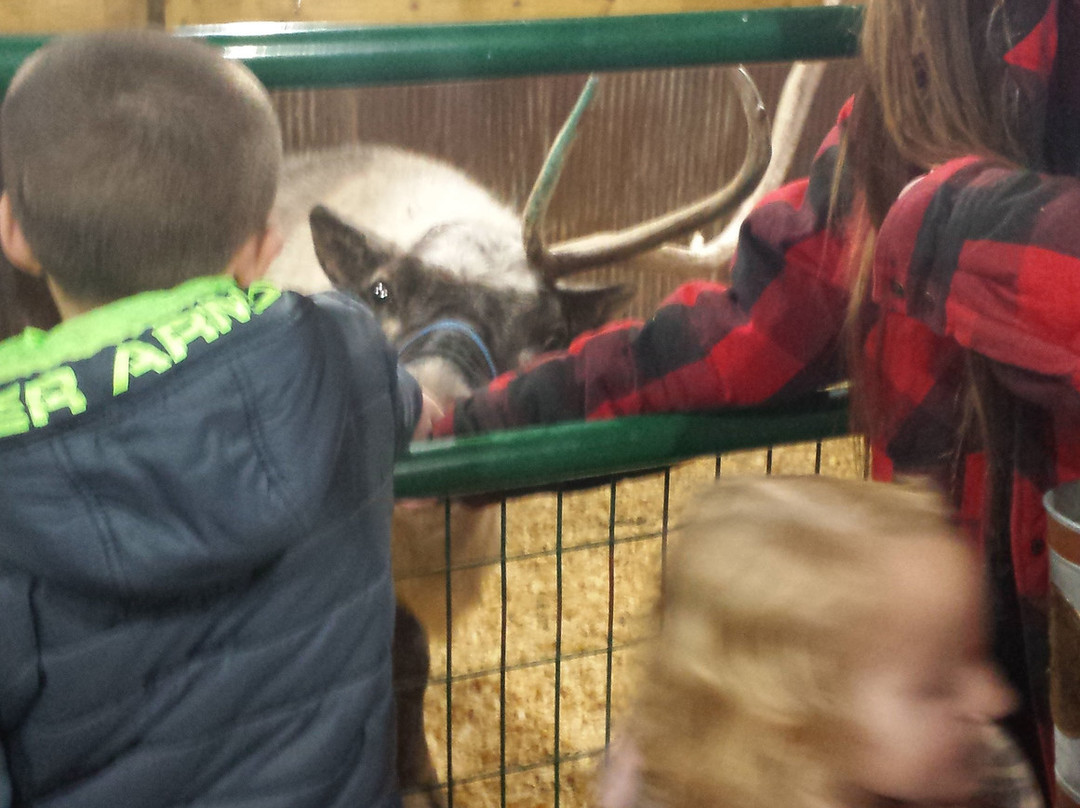 Snowman's Reindeer Farm-Canton必去景点