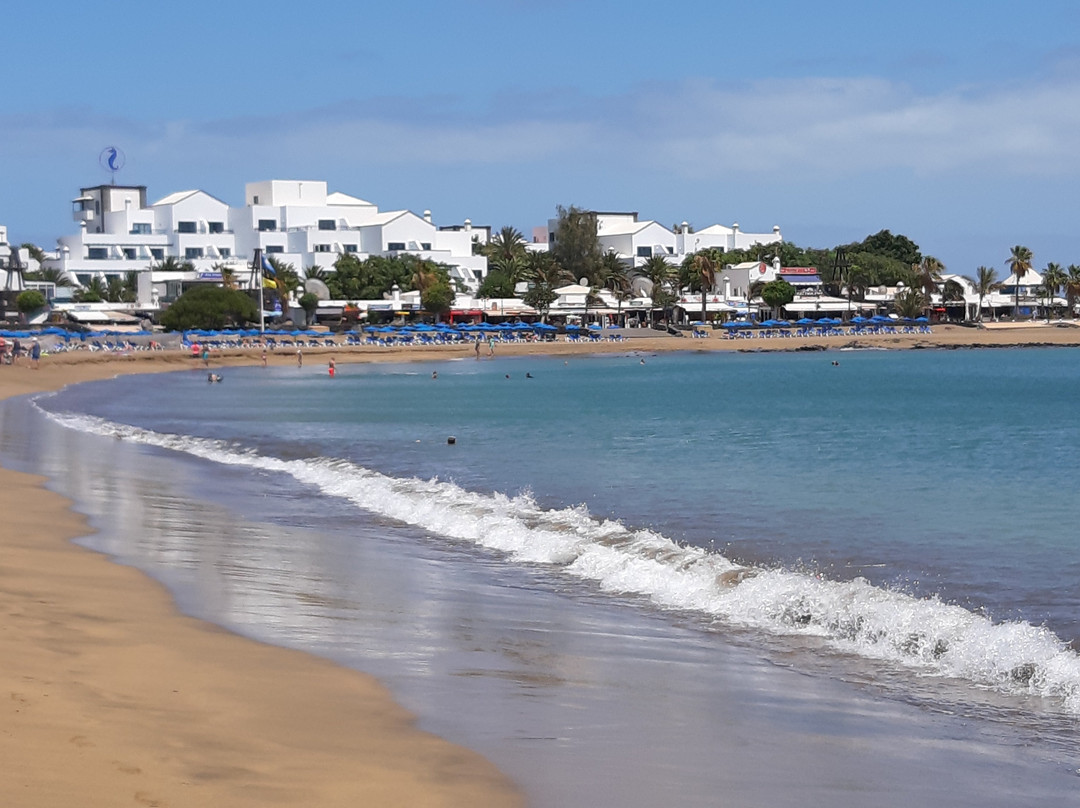 Playa de los Pocillos景点图片