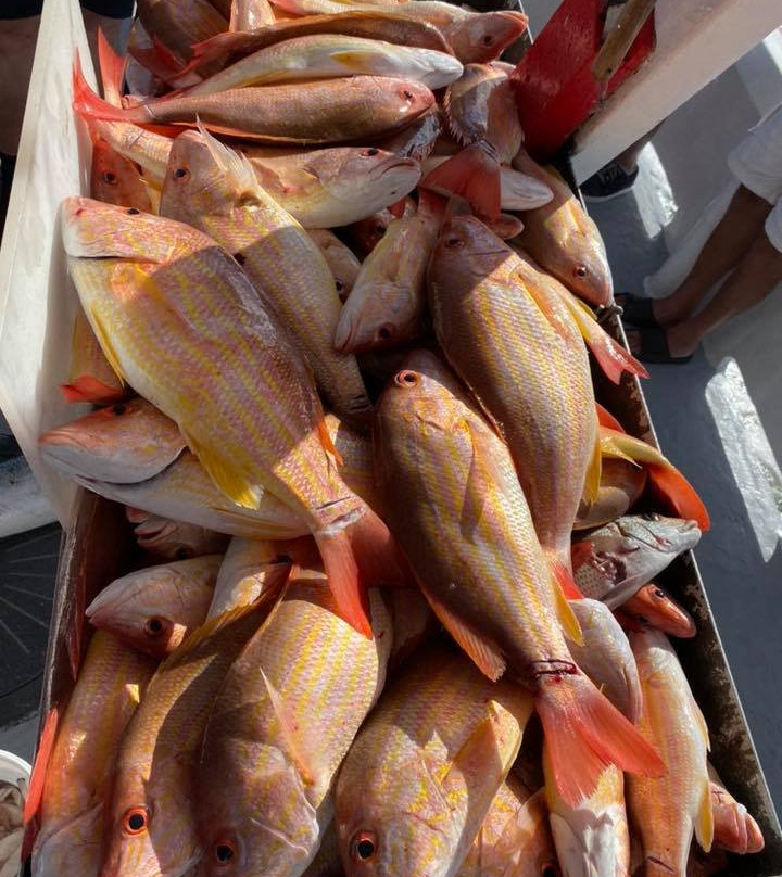 Lady Stuart I Deep Sea Fishing-斯图尔特必去景点