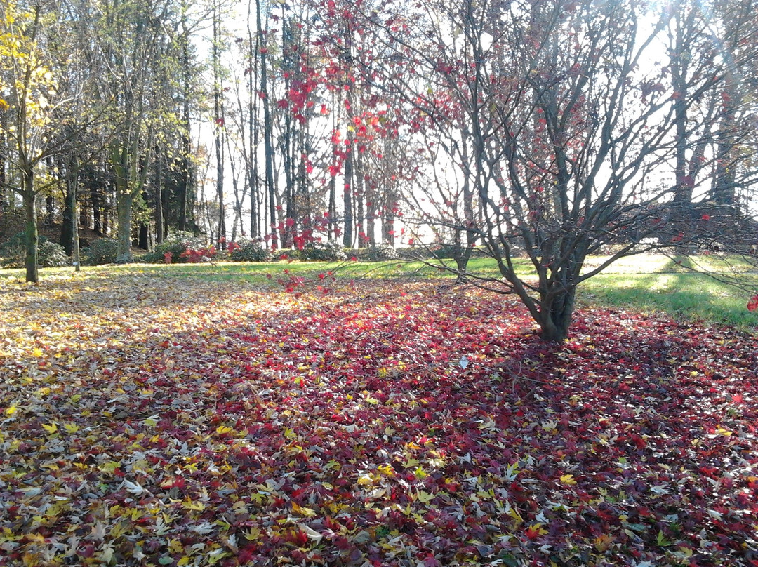 Botanical Garden Of University Of Maribor-马里博尔必去景点