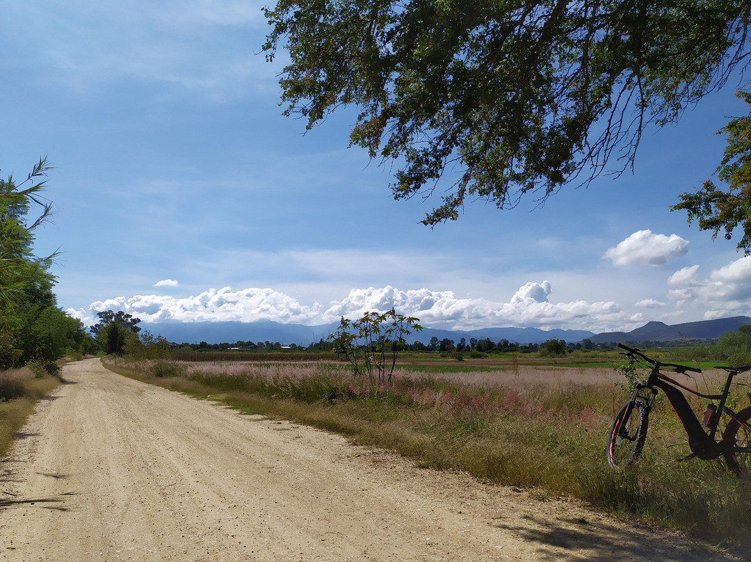 5a-Bike-瓦哈卡必去景点