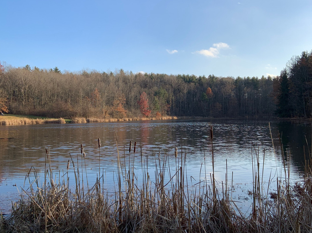 Virginia Kendall Park-Brecksville必去景点