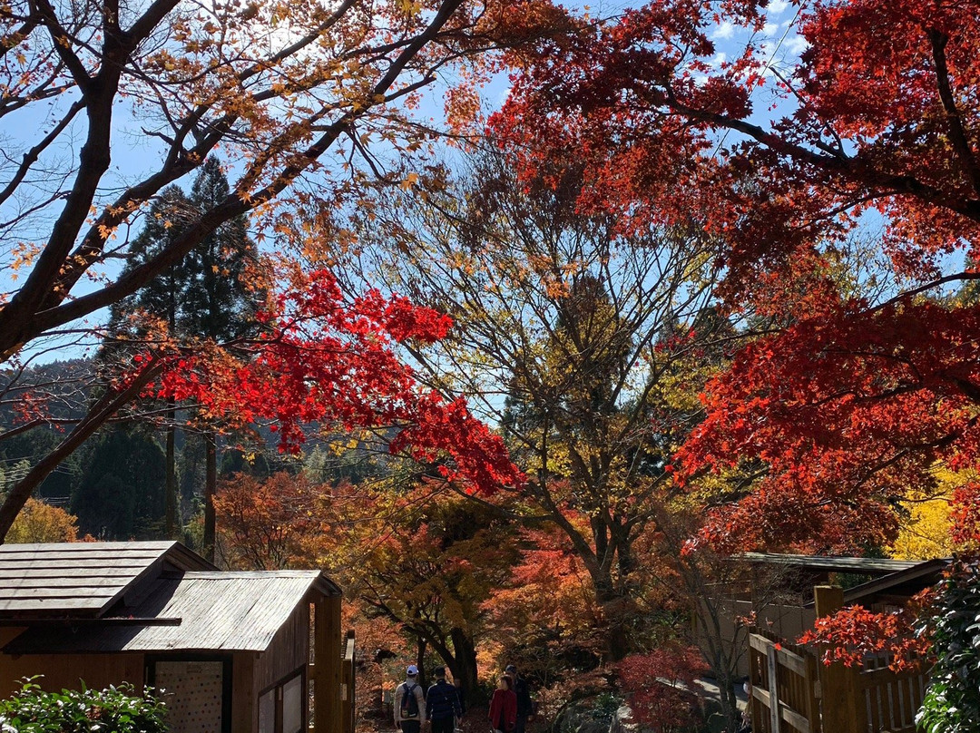 Kankyo Geijutsu no Mori-唐津市必去景点