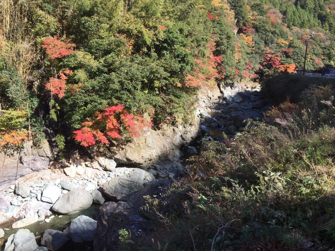 Mt. Ishizuchi Ropeway-西条市必去景点