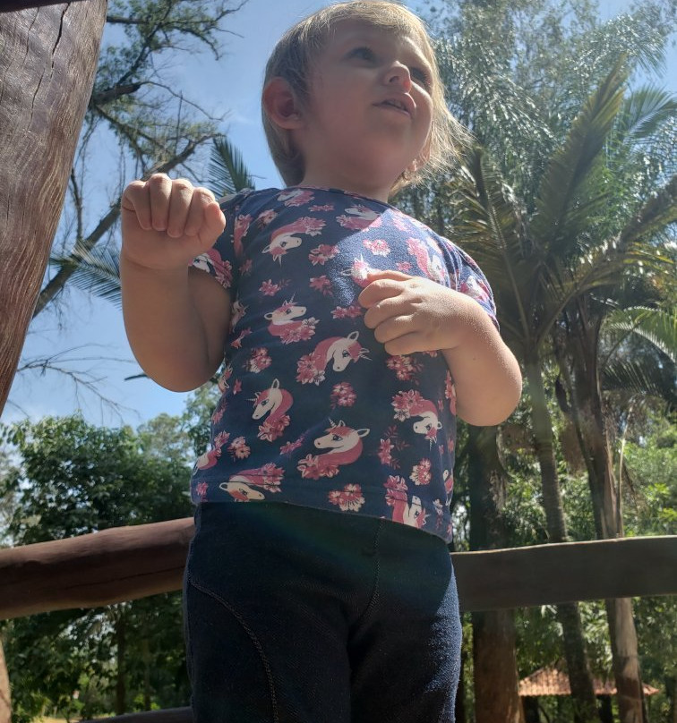 Horto Florestal De Limeira-Limeira必去景点