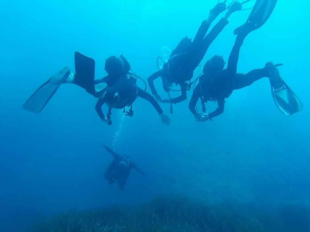Punta Campanella Diving Center-索伦托必去景点