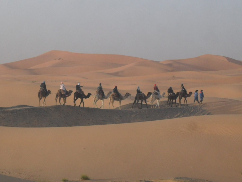 Dunes Expedition景点图片