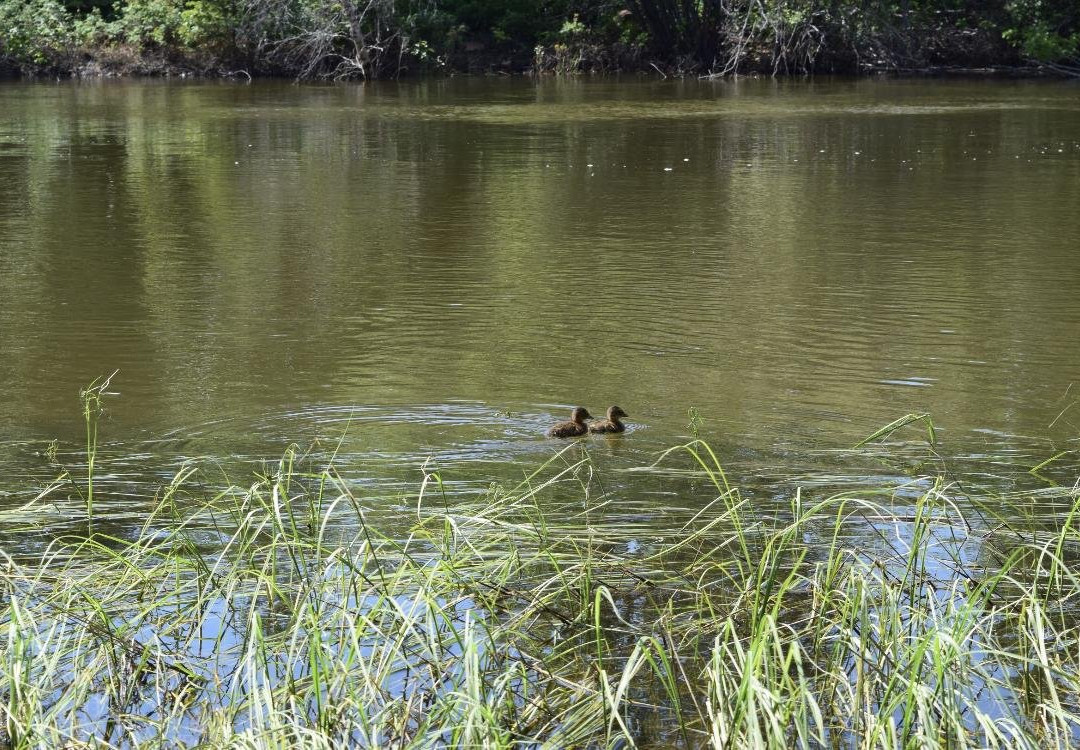 Sahtu Adventures-Norman Wells必去景点