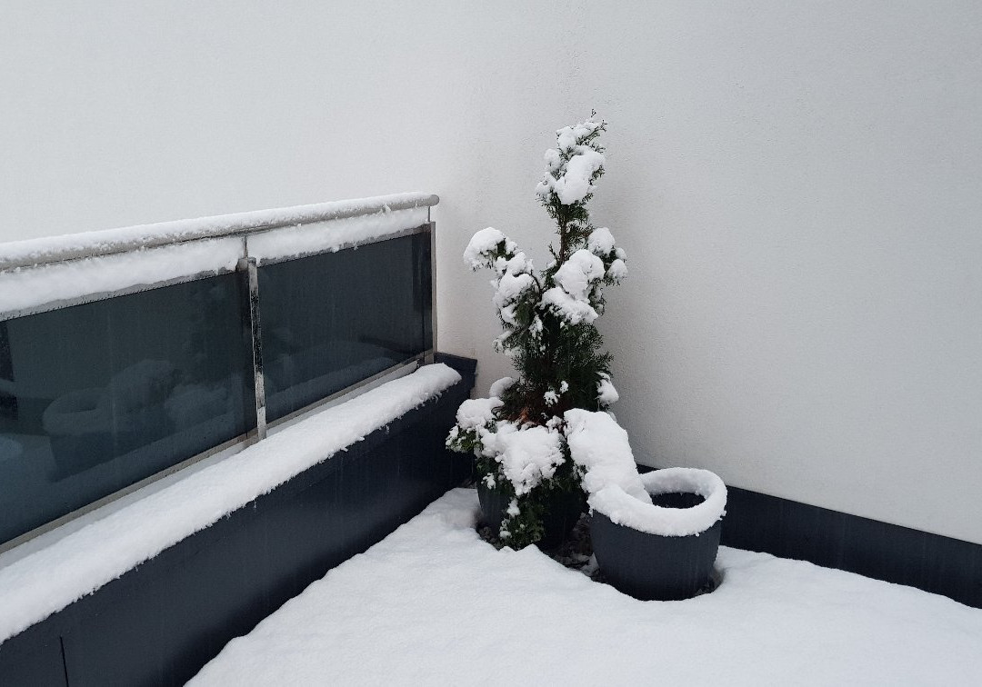 Landhaus Ambachhof主图