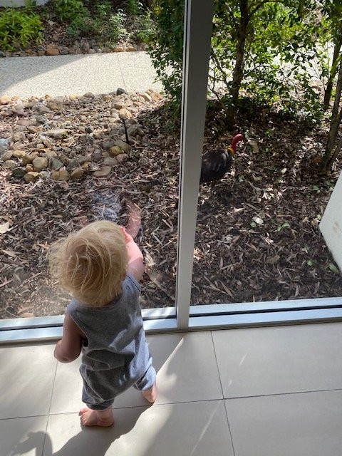 努萨西码头度假村主图