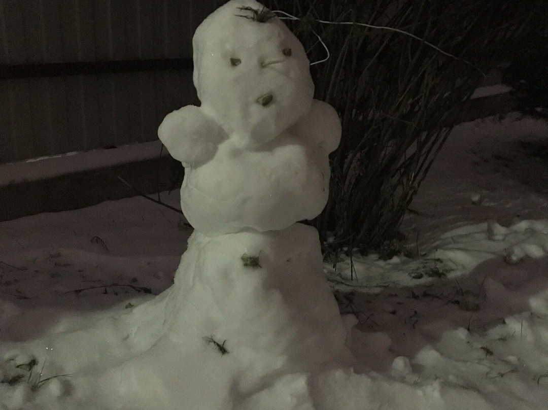 Domashny Ochag主图