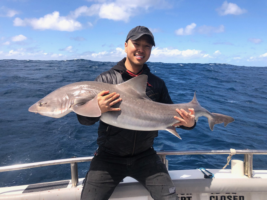 Reef Encounters Fishing Charters景点图片
