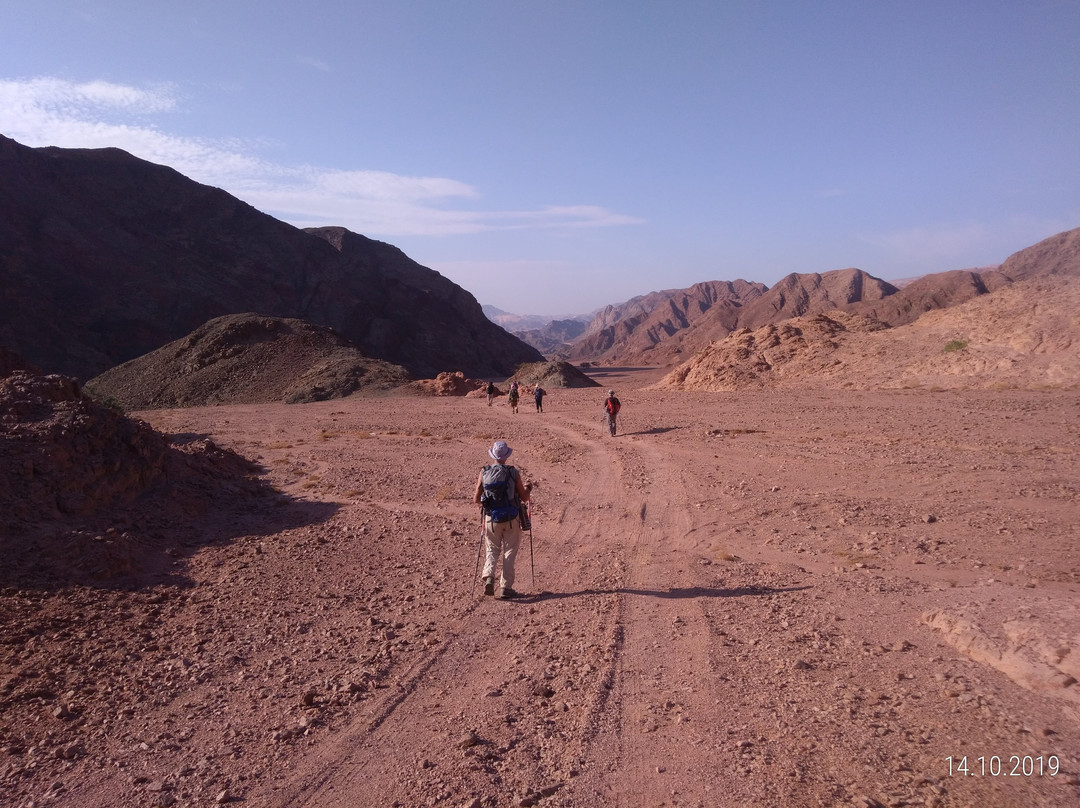 Sinai Trail景点图片