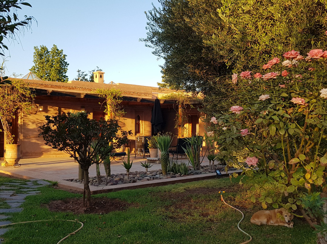 Oulad Znaguia旅游攻略图片