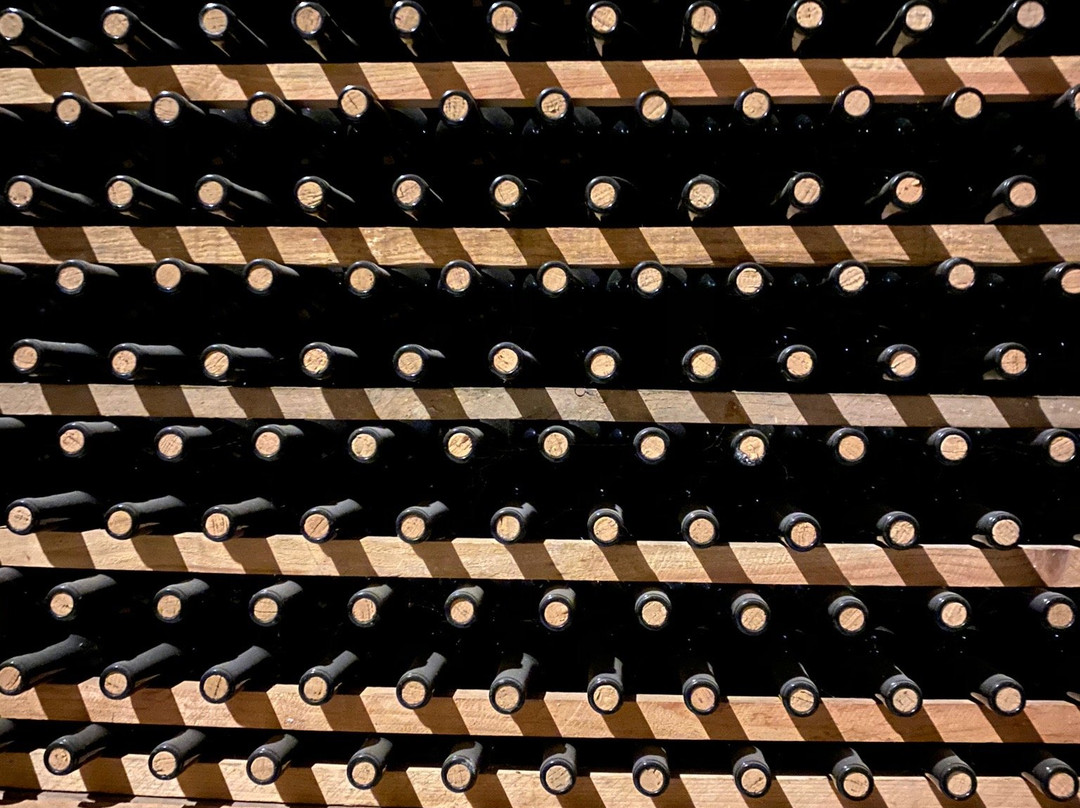 Bodegas Olarra-洛格罗尼奥必去景点