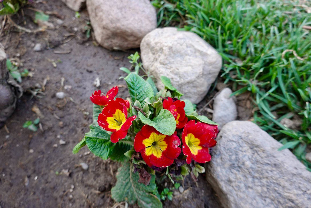 Hotel Portal del Santo Salta Cafayate主图