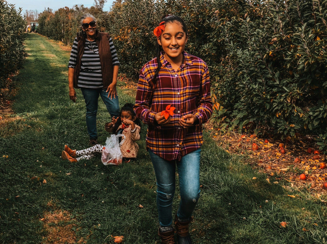 Terhune Orchards & Winery景点图片