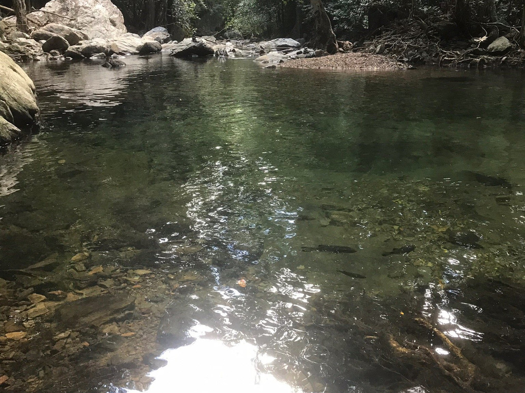 Stoney Creek Trail景点图片